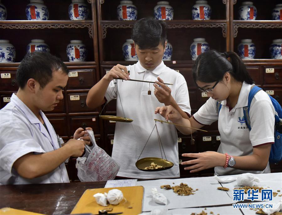 港澳台中医药发展知多少