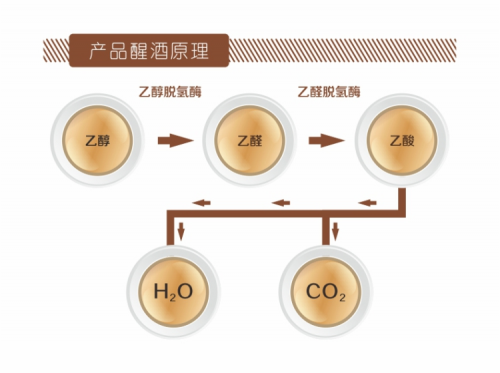 益甘美，下一个健康产业首富的商机