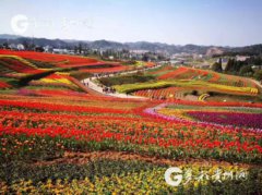 <b>貴陽烏當：打好“田園牌”“避暑牌”釋放鄉村旅游新動能</b>