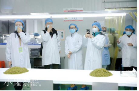 凭什么小罐茶如此受欢迎，就凭他