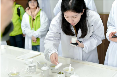 凭什么小罐茶如此受欢迎，就凭他