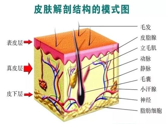 跑步真的可以让人变美吗？如果你能做好这一点