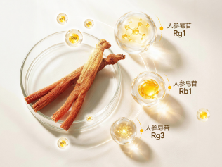 从38种皂苷，看懂高丽参的珍贵